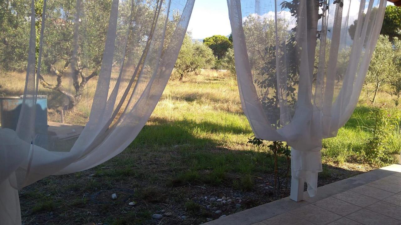 Olive Garden Guest House Kyparissia Exterior photo