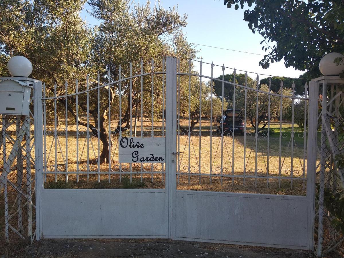 Olive Garden Guest House Kyparissia Exterior photo