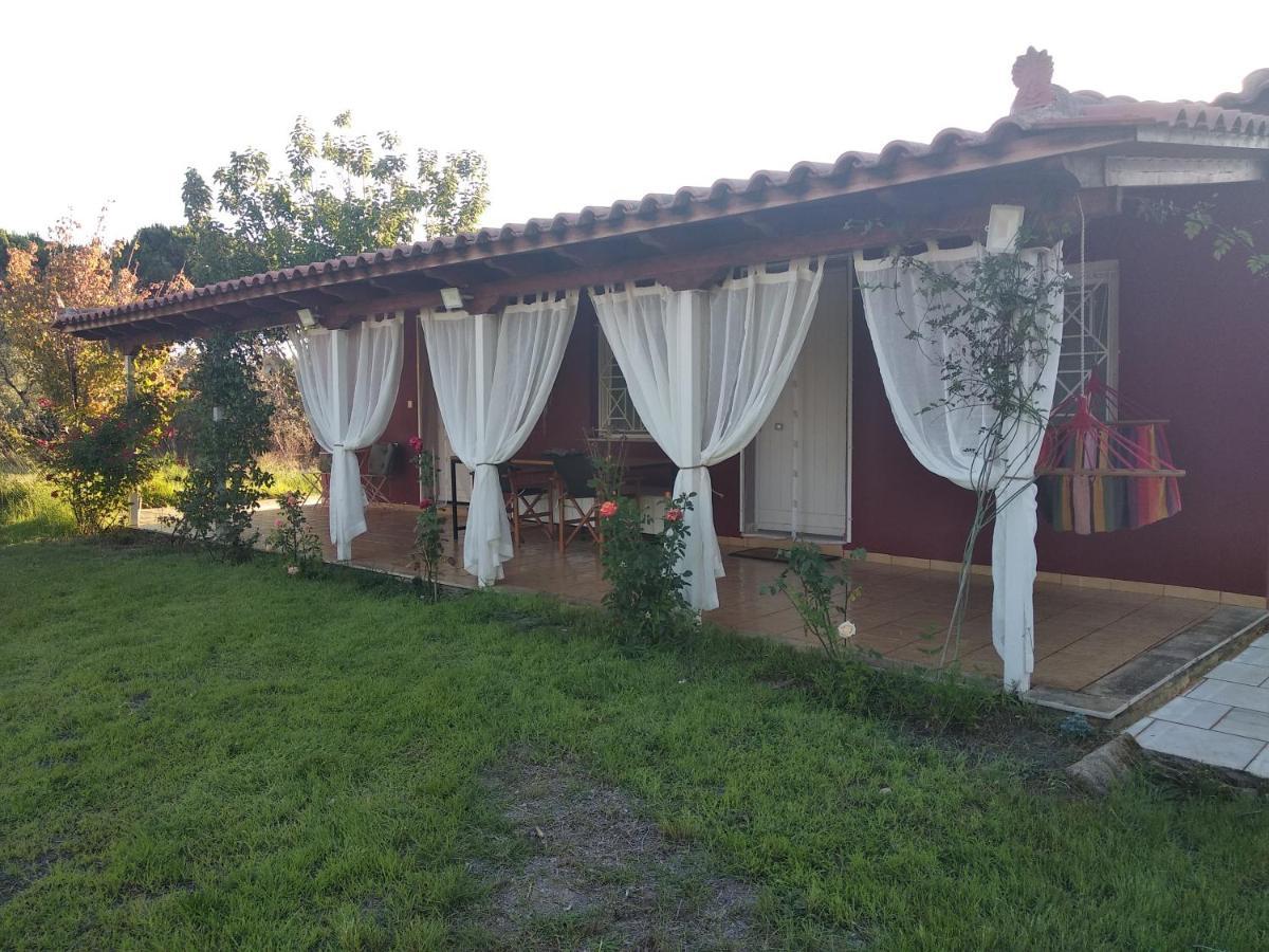 Olive Garden Guest House Kyparissia Exterior photo
